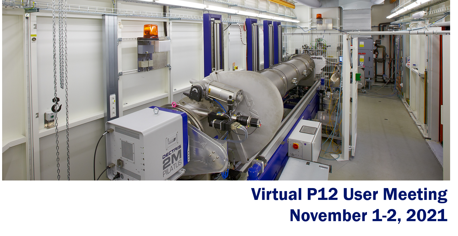 EMBL P12 Virtual User Meeting, November 2021